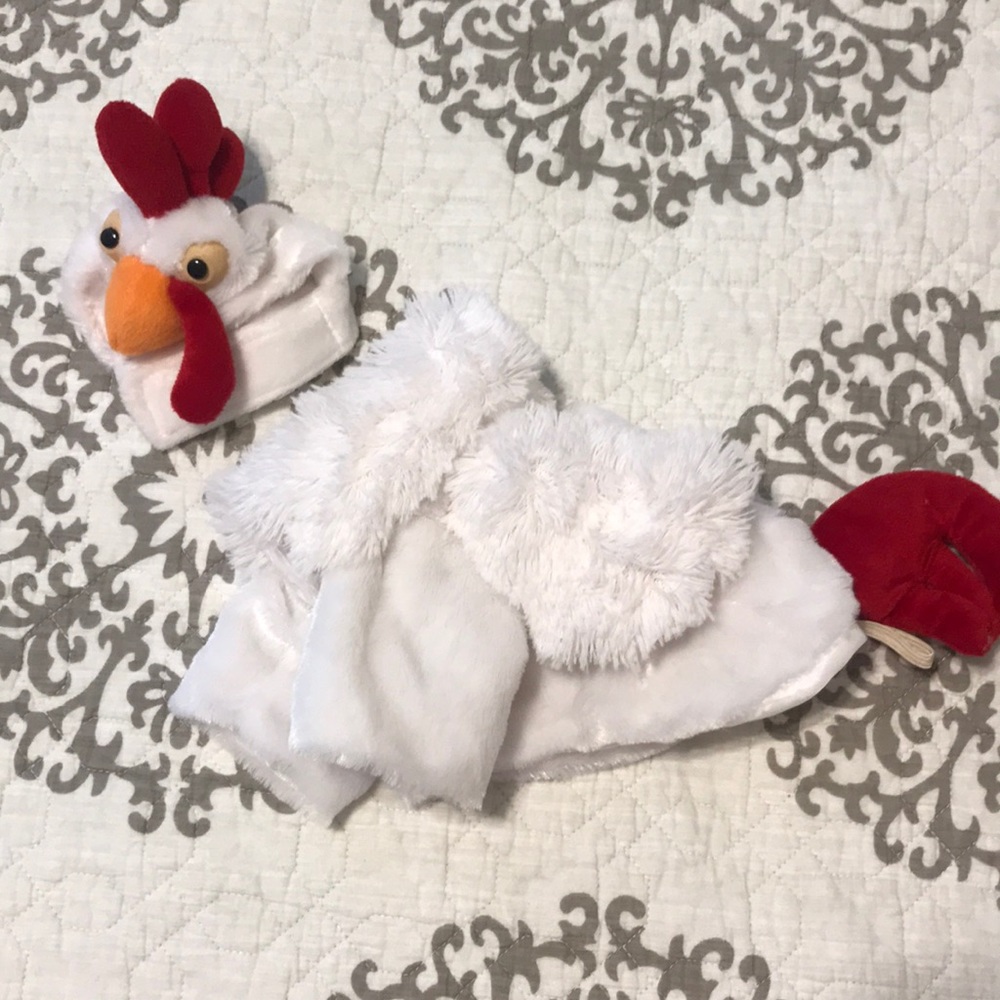 Rooster Costume